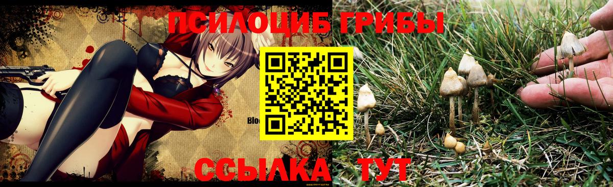 Псилоцибиновые грибы Psilocybine cubensis  Вход с VPN  Тула  Псилоцибиновые грибы MAGIC MUSHROOMS 